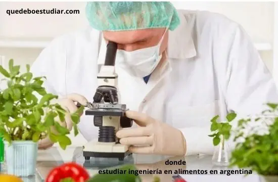 Universidades en donde estudiar ingeniería en alimentos en argentina