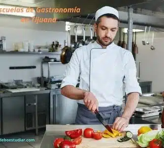 Escuelas de Gastronomía en Tijuana