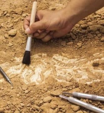 Donde estudiar arqueología en España